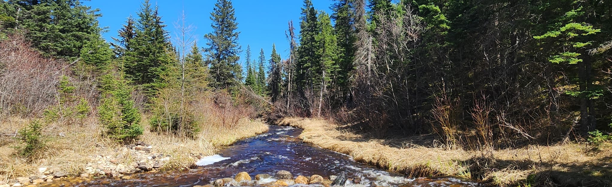 Pine River Lookout Trail , Manitoba, Canada - 3 Reviews, Map | AllTrails