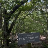 Flat Top Mountain via Flat Top Trail, Virginia - 404 Reviews, Map ...