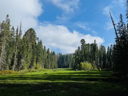 Sequoia national cheap park alltrails