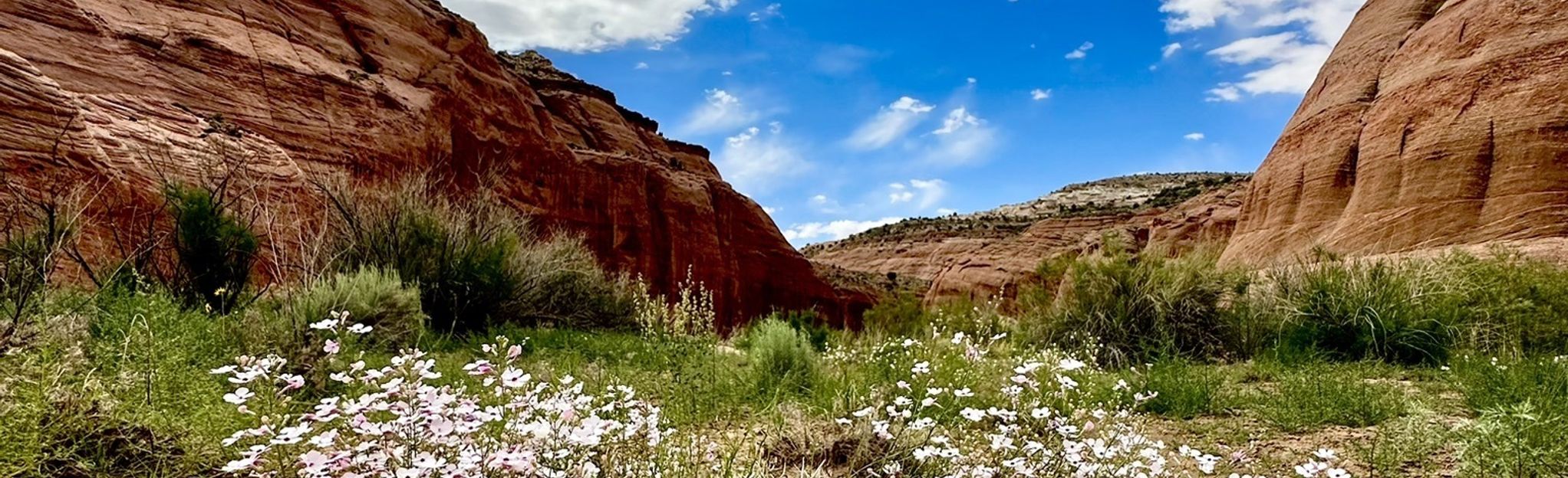 Paria Canyon: White House Trailhead to Buckskin Gulch, Utah - 278 ...