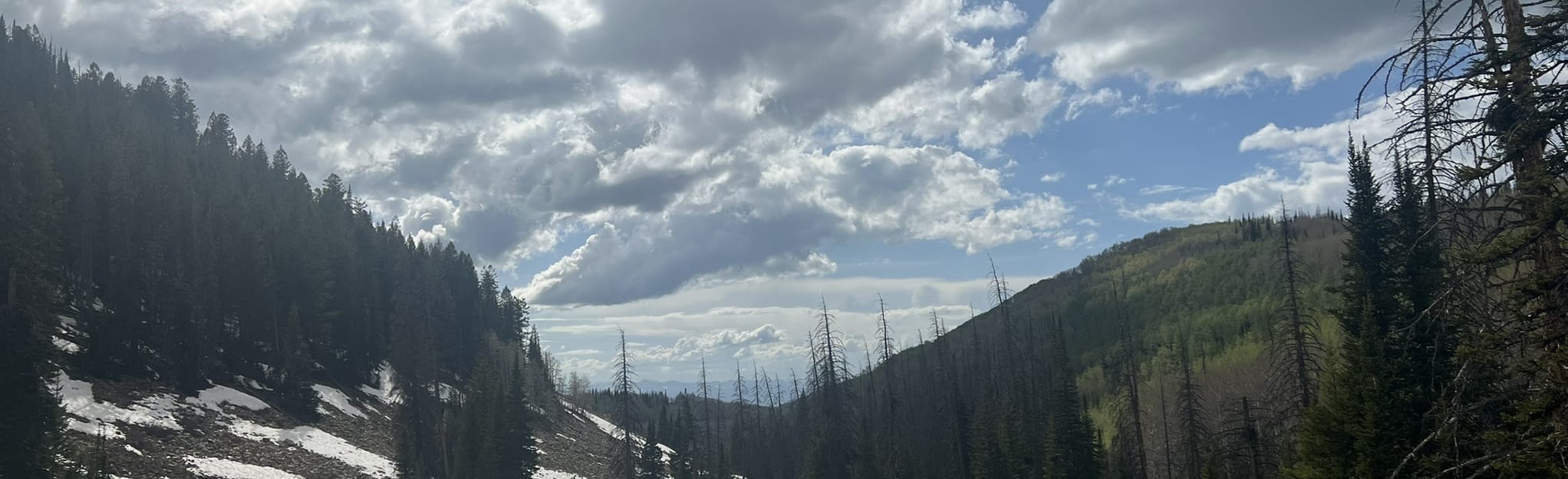 Soapstone Trail, Utah 13 Reviews, Map AllTrails