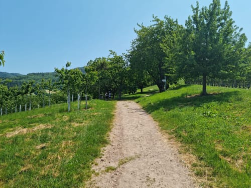 Alde Gott Panoramarunde (Genießerpfad)