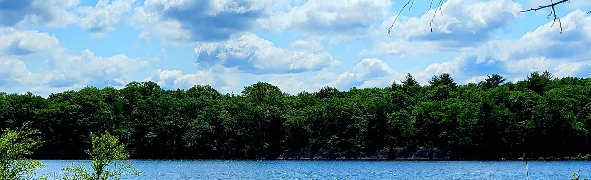 Pequannock Watershed Hank's Pond 100 Reviews, Map New Jersey AllTrails