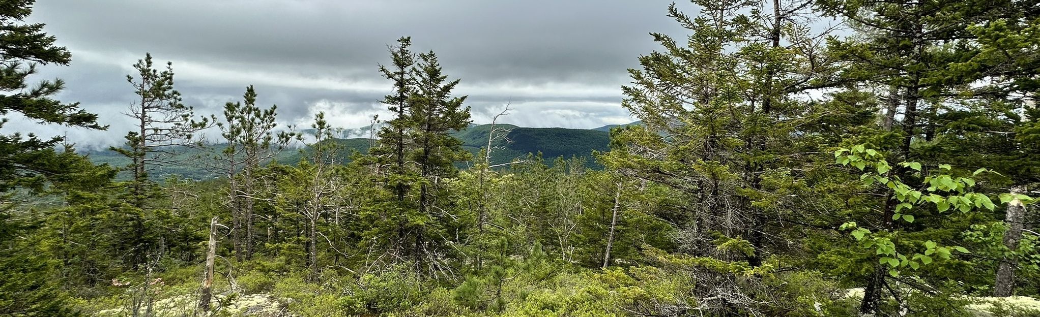 Blueberry Mountain Trail: 624 Reviews, Map - New Hampshire | AllTrails