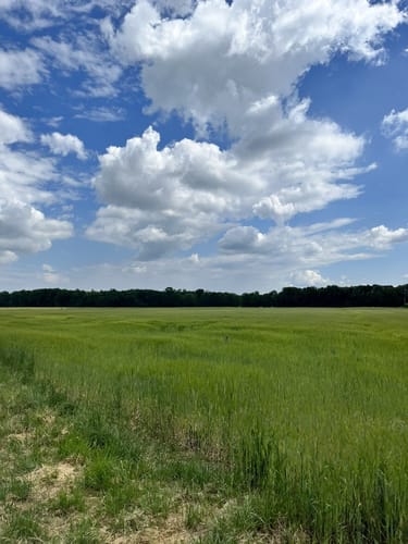 Zum Leitnerweiher ab Weichering