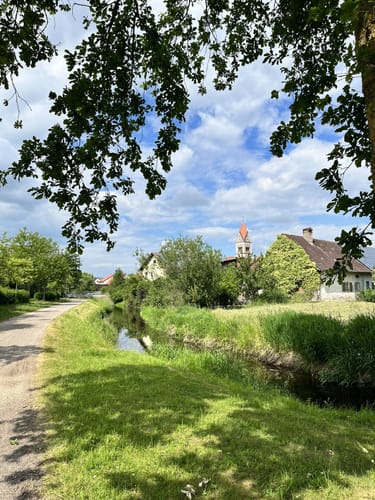 Zum Leitnerweiher ab Weichering