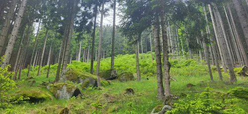 2023 Best Trails near Pongratzer Kogel