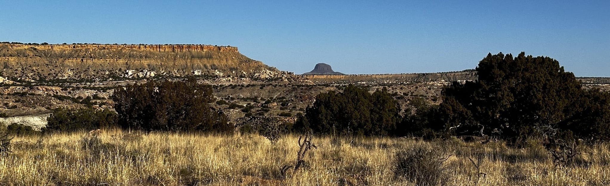 Seismosaurus Trail, New Mexico 170 Reviews, Map AllTrails