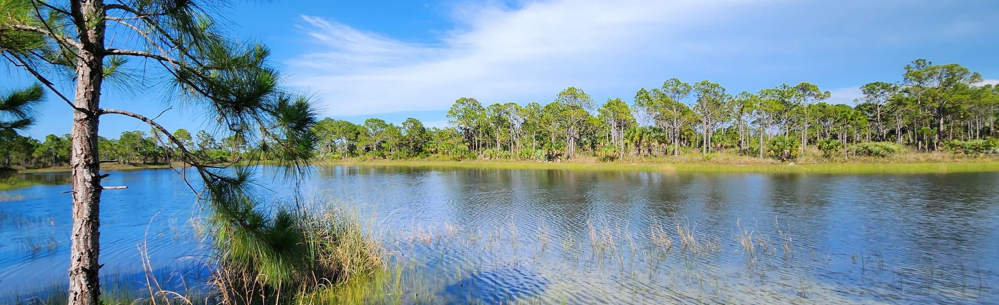 Malabar Trails Double Loop 208 Reviews, Map Florida AllTrails