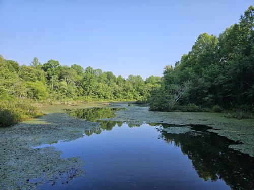 Sloan's Crossing Pond Trail, Kentucky - 216 Reviews, Map