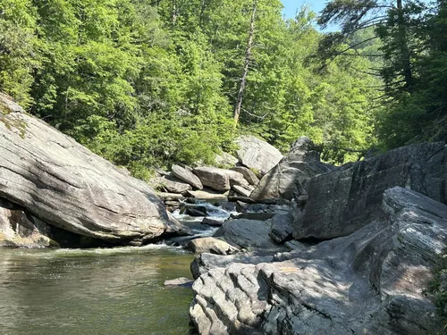 Spence Ridge and Linville River Trail North Carolina 16 Reviews Map AllTrails