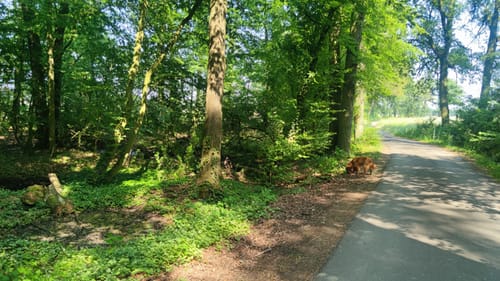 Gahlen Rundweg A3