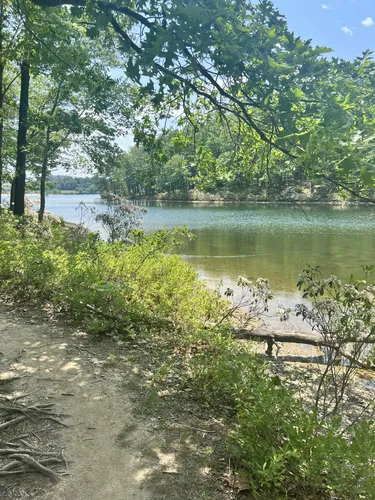 Best Hikes and Trails in Rocky Gap State Park