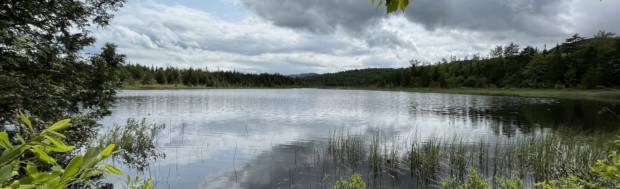 Dix Trail from Elk Lake Parking Area 87 Reviews, Map New York