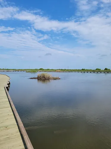 Best Hikes and Trails in Sea Rim State Park | AllTrails