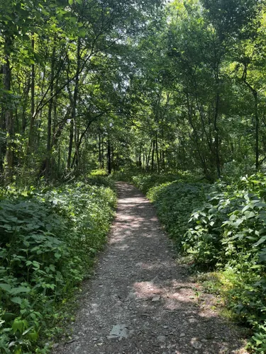 Best Hikes and Trails in Toms Run Nature Reserve | AllTrails