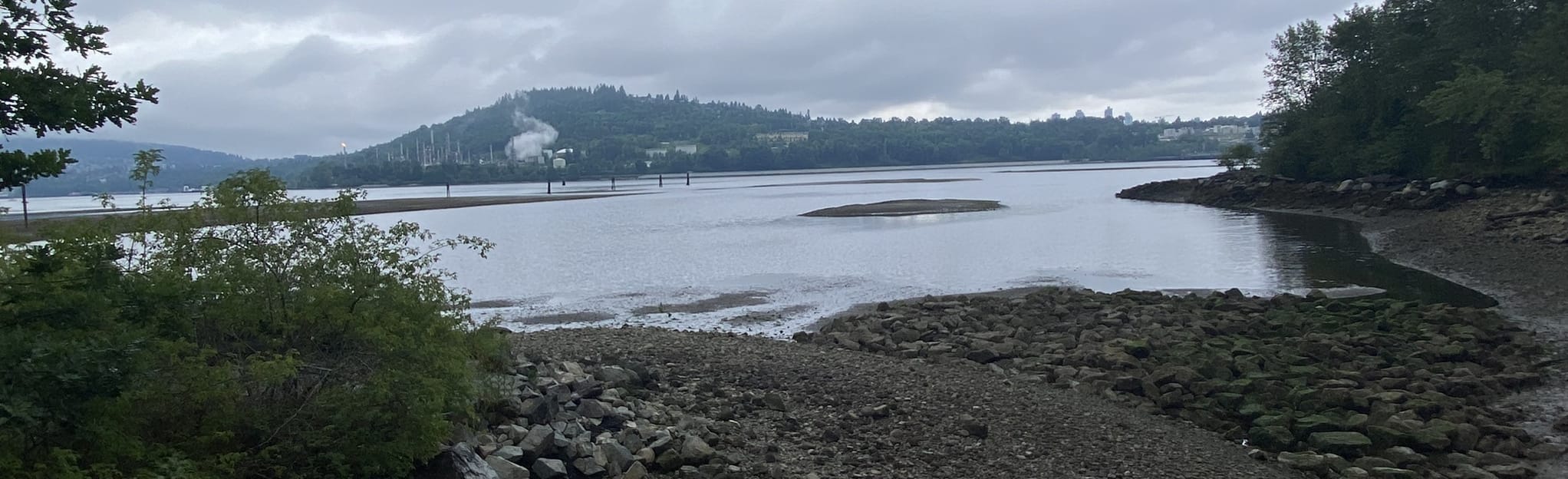 Maplewood Flats Conservation Area Loop, British Columbia, Canada 252