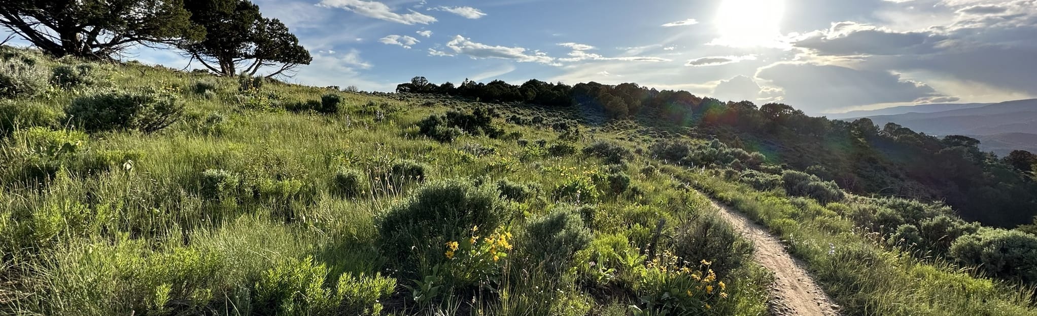 AllTrails Boneyard Trail 53 Reviews, Map Colorado