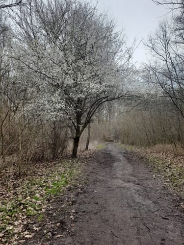 Rund um den Werresiek