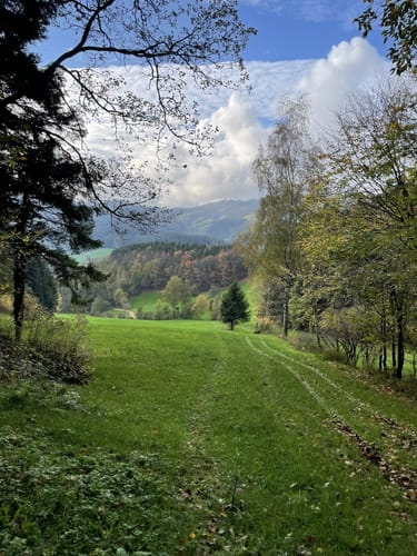 Gutacher Tälersteig (Genießerpfad)