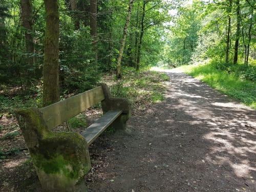 Durch die Lohmarer Heide