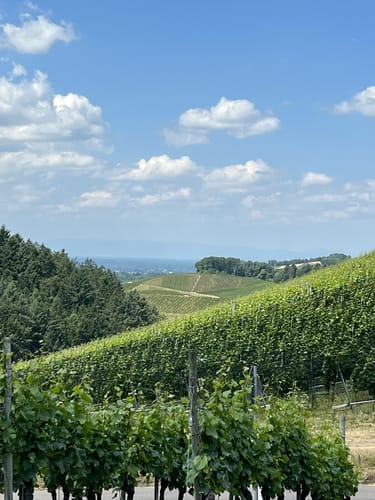 Durbachtalweg