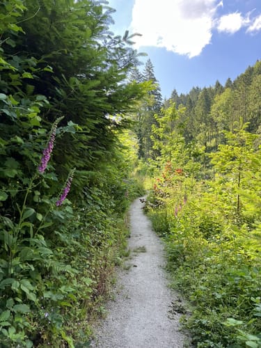 Durbachtalweg
