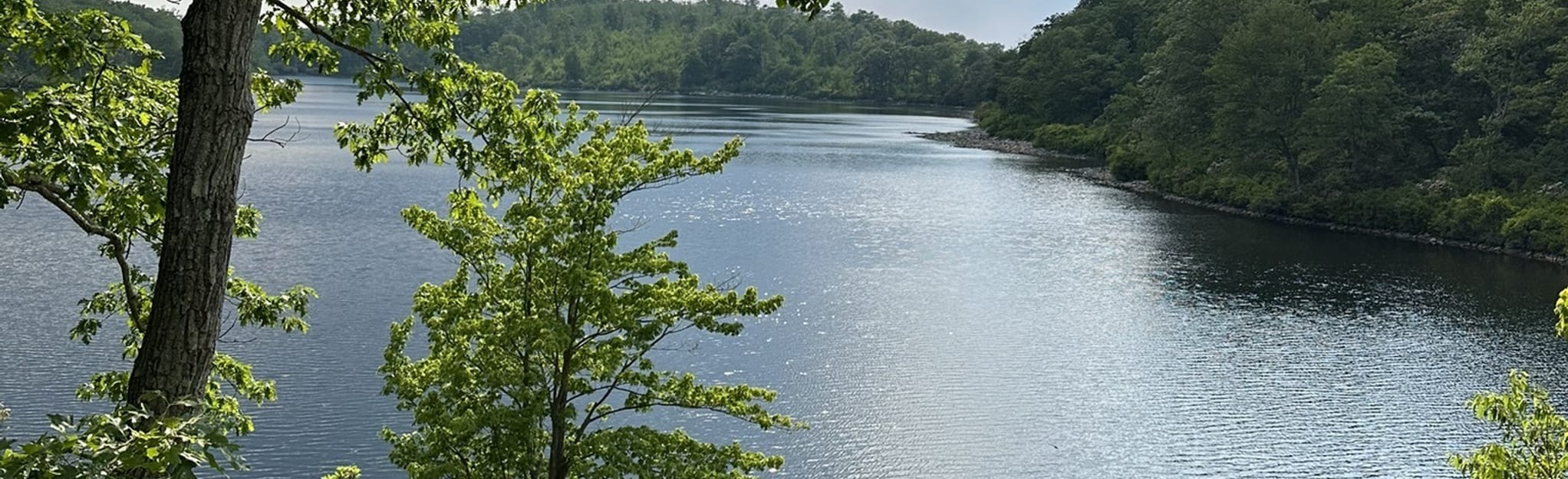 Mount Tammany Fire Road Loop Mohican Outdoor Center, New Jersey 103 Reviews, Map AllTrails