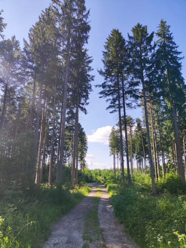 Jexhof und Wildmoos
