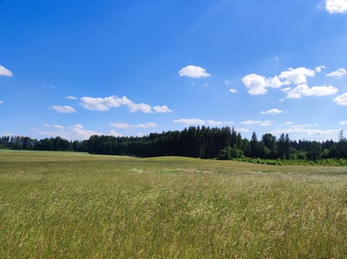 Jexhof und Wildmoos