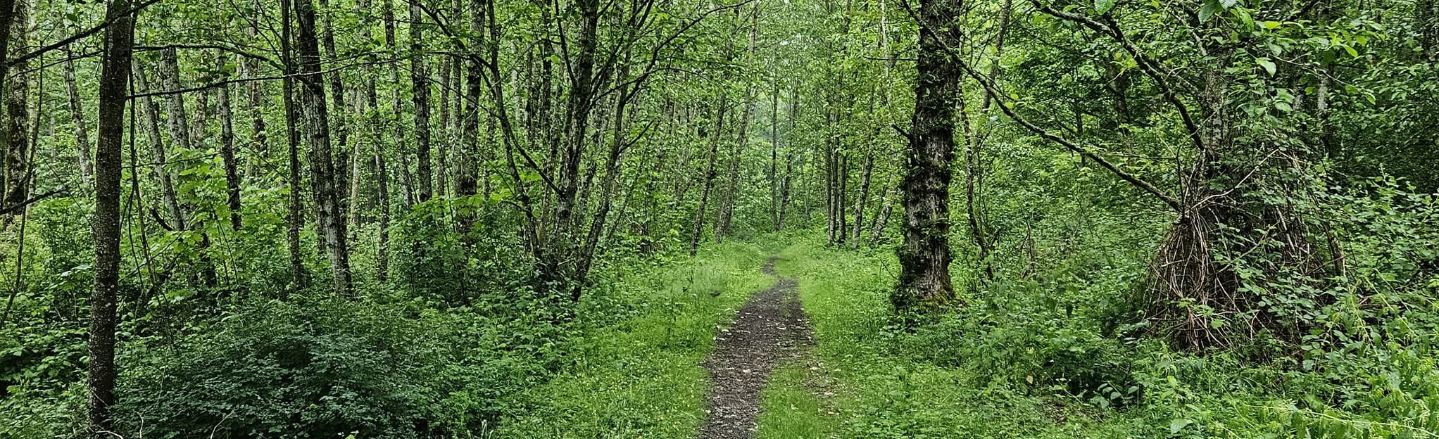 Lazy Boy, Tools of the Trade, and Ranch Climb Loop 598 Reviews, Map