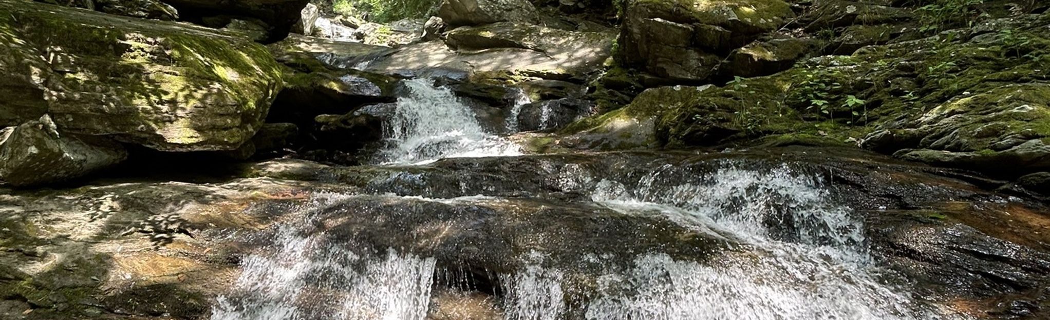 Crab Orchard Falls Trail, North Carolina - 1,260 Reviews, Map | AllTrails