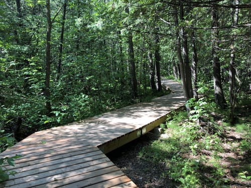 Best mountain biking trails in Birds Hill Provincial Park AllTrails