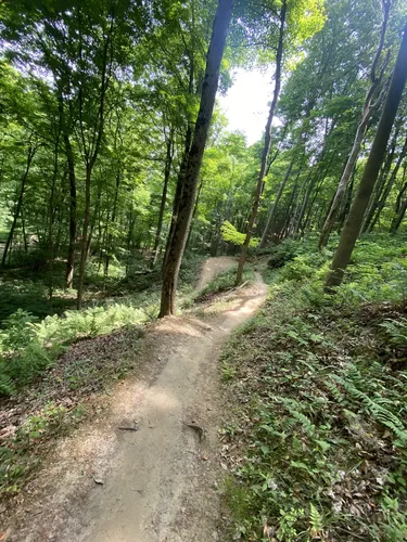 Hampton hills outlet mountain bike trail