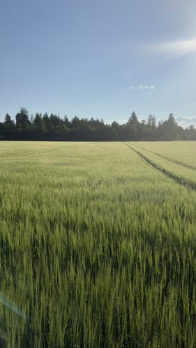 Rund um Höhenkirchen-Siegertsbrunn