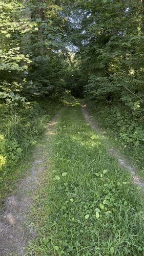 Rund um Höhenkirchen-Siegertsbrunn