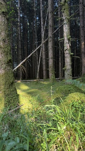 Rund um Höhenkirchen-Siegertsbrunn