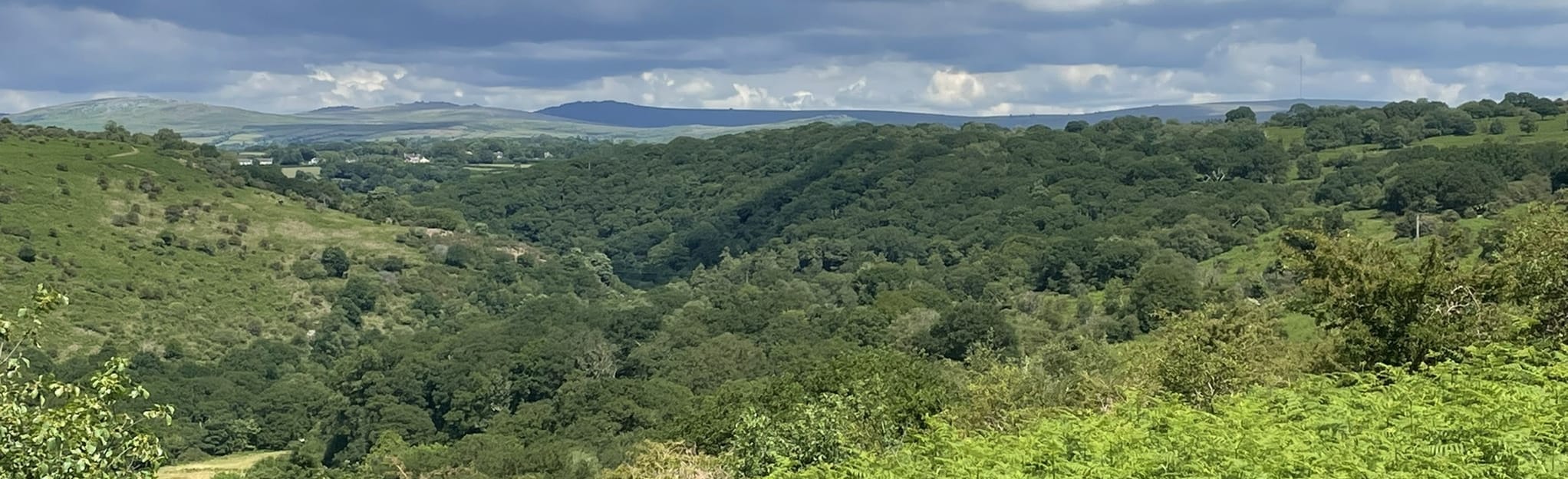 Buckland Monachorum and River Walkham Circular 217 Reviews, Map