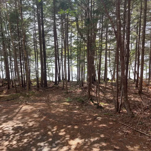 2023 Best Trail Running Trails in Mount Uniacke AllTrails