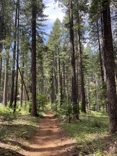 10 Best Trails and Hikes in Nevada City | AllTrails