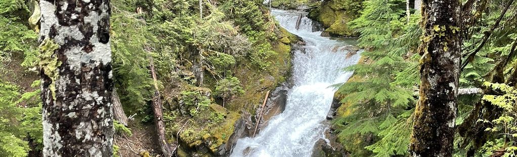 Stafford Falls, Mount Rainier National Park photo spot