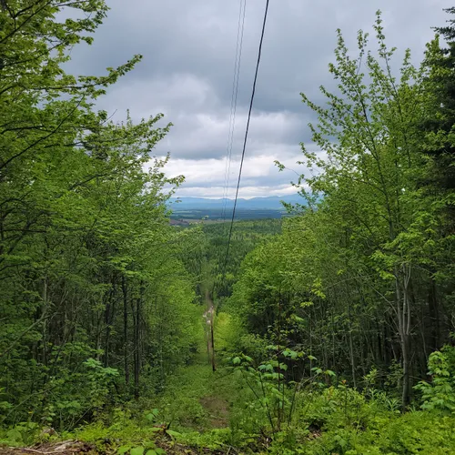 Best Dogs On Leash Trails in LacauSaumon AllTrails