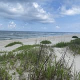 Pine Beach Trail, Alabama - 492 Reviews, Map | AllTrails