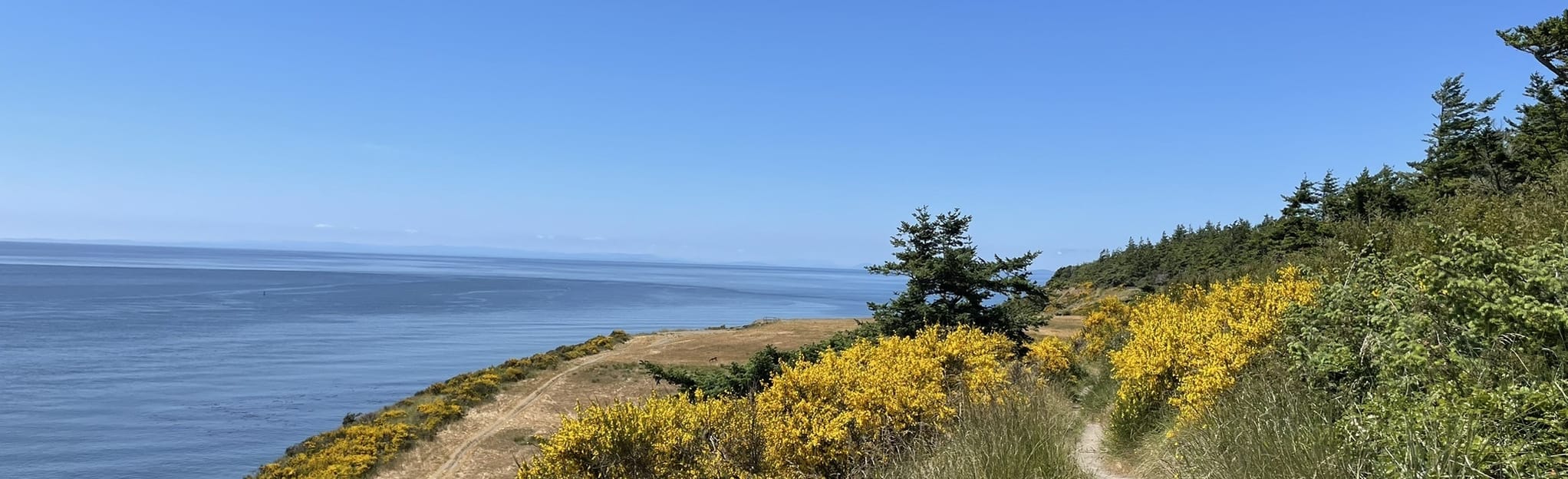 Kettles Trail to Cascadia Marine Campsite 50 Reviews, Map Washington AllTrails