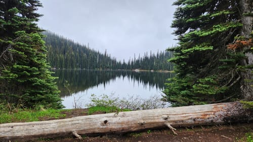 Poland lake shop trail manning park