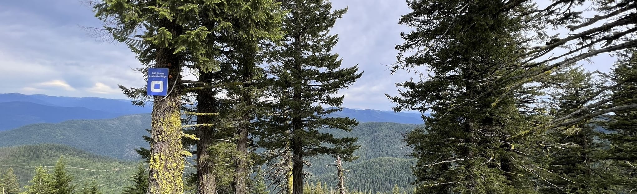 Kellogg Peak Trail, Idaho 23 Reviews, Map AllTrails