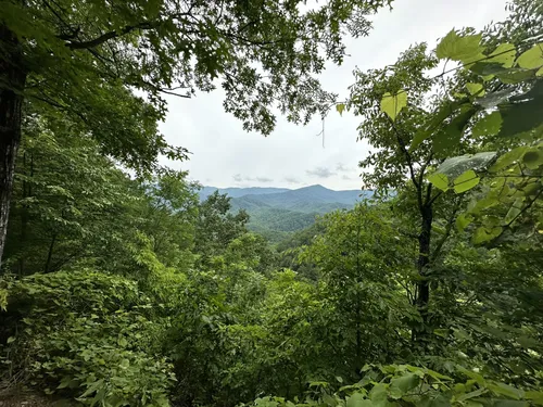 10 Best Trails and Hikes in Gatlinburg | AllTrails