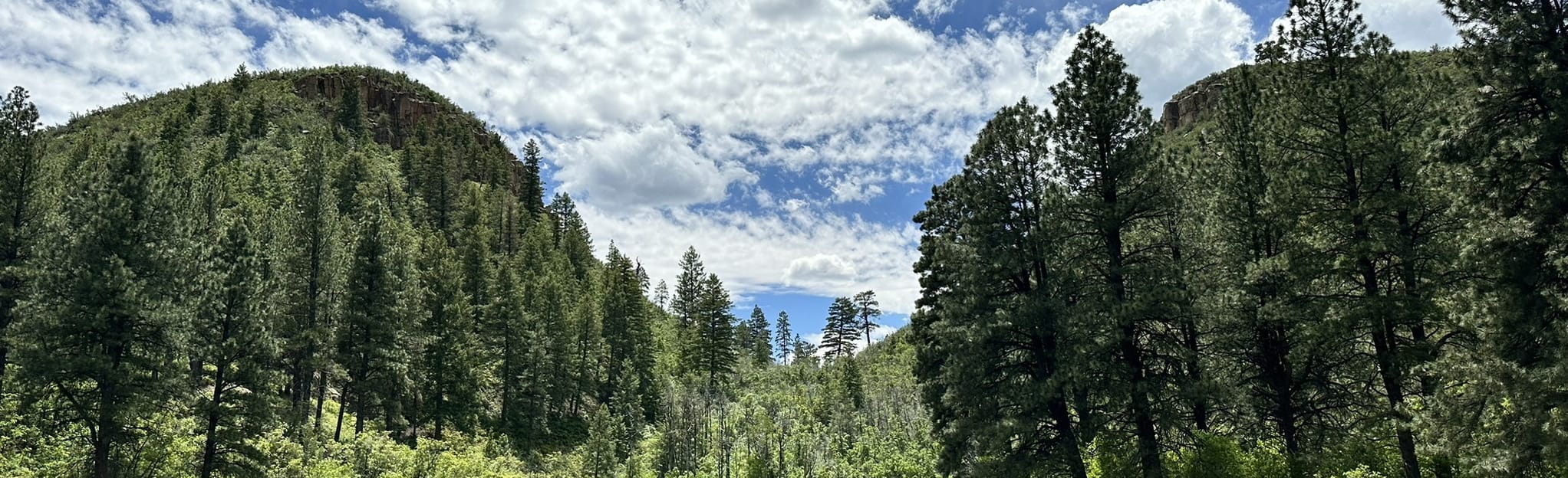 AllTrails Twin Buttes and Lightner Creek Loop 139 Reviews, Map Colorado