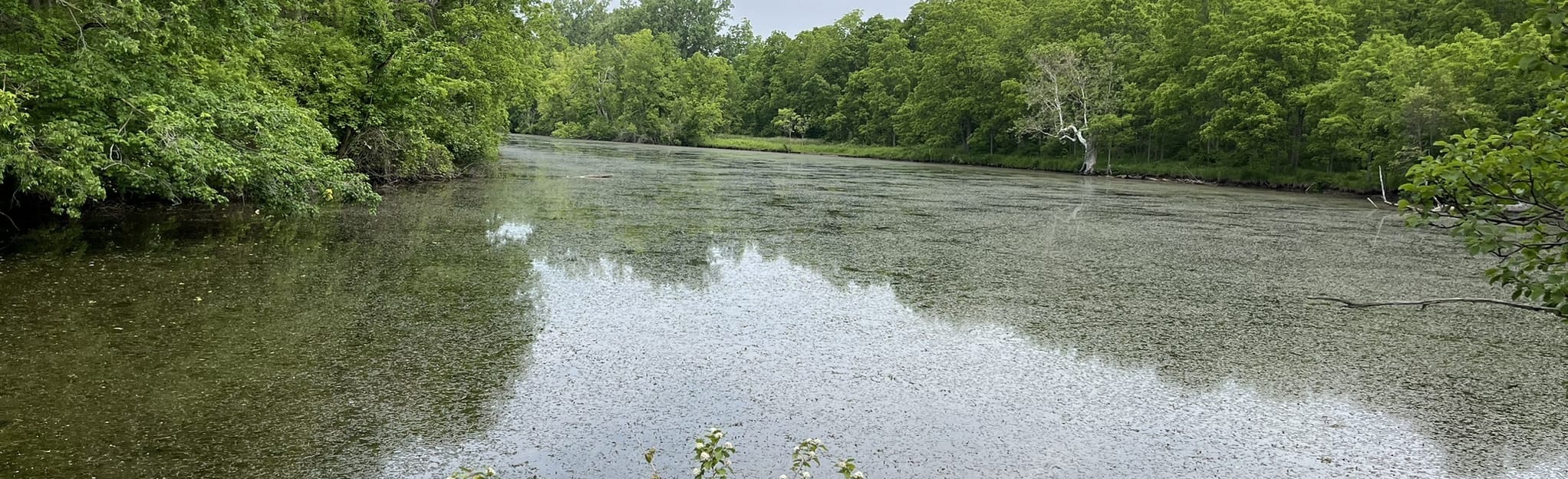 The Coves Trail, Ontario, Canada 224 Reviews, Map AllTrails