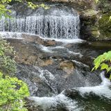 Hickey Gap Trail, Georgia - 113 Reviews, Map | AllTrails